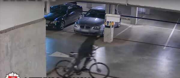 Вор из Клайпеды - Sputnik Литва