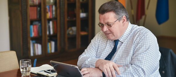 Министр иностранных дел Литвы Линас Линкявичюс - Sputnik Литва