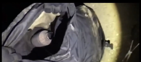 В Литве задержали мужчину, подозреваемого в краже автомобильных деталей - Sputnik Литва