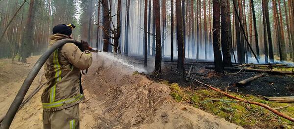 Тушение пожара в зоне отчуждения Чернобыльской АЭС Тушение пожара в зоне отчуждения Чернобыльской АЭС - Sputnik Lietuva
