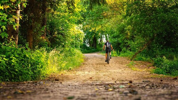 Велосипедист в лесу, архивное фото - Sputnik Литва