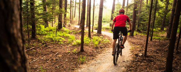 Велосипедист в лесу, архивное фото - Sputnik Литва