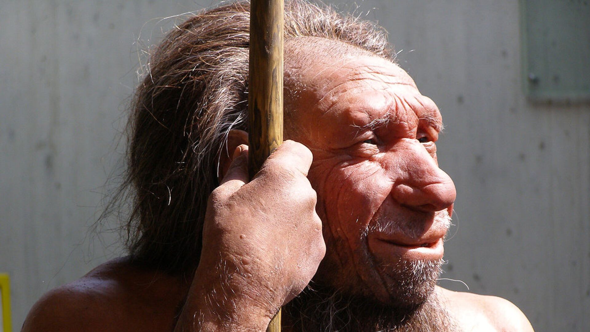Neandertaliečio skultūra - Sputnik Lietuva, 1920, 08.08.2021