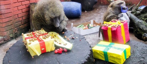 Lietuvos zoologijos sodas - Sputnik Lietuva