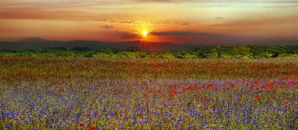Закат, архивное фото Закат, архивное фото - Sputnik Lietuva