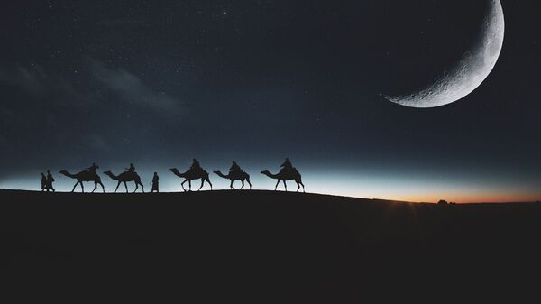 Караван верблюдов, архивное фото - Sputnik Lietuva