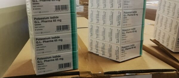 Таблетки йода, заказанные Литвой на случай аварии на БелАЭС - Sputnik Литва