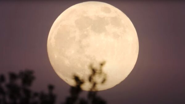 Цветочная луна: последнее суперлуние года сняли на видео - Sputnik Литва