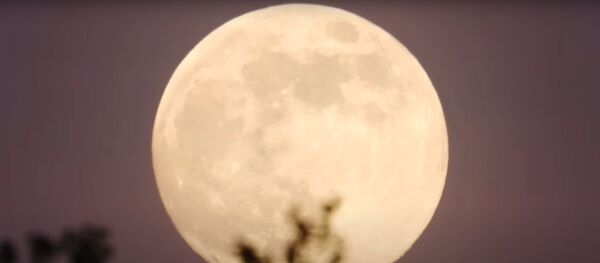 Žydintis Mėnulis: nufilmuotas paskutinis 2020 metų supermėnulis Žydintis Mėnulis: nufilmuotas paskutinis 2020 metų supermėnulis - Sputnik Lietuva