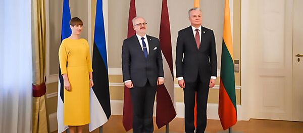 Президенты стран Балтии Гитанас Науседа, Эгилс Левитс и Керсти Кальюлайд - Sputnik Lietuva