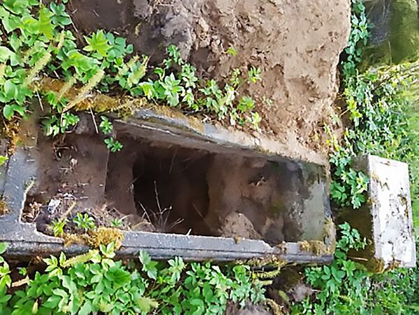 В Литве полицейские задержали расхитителей могил В Литве полицейские задержали расхитителей могил - Sputnik Литва