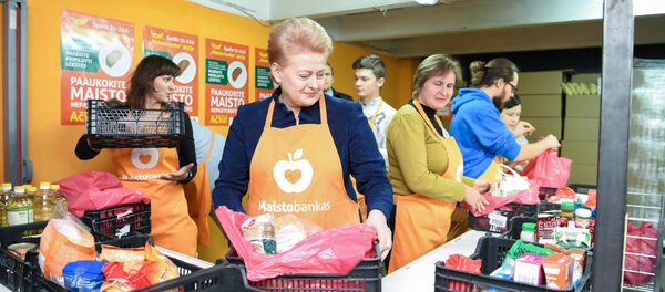 Даля Грибаускайте посетила вильнюсские склады Продовольственного банка - Sputnik Литва