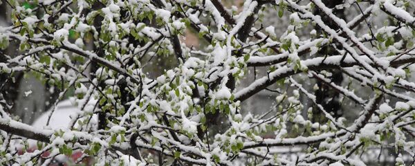 Майский снегопад в Москве, архивное фото Майский снегопад в Москве, архивное фото - Sputnik Lietuva