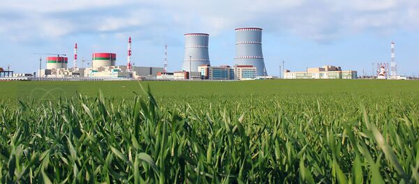 Белорусская АЭС, архивное фото  - Sputnik Литва