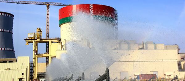 Белорусская АЭС, архивное фото - Sputnik Литва