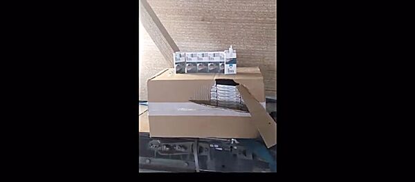 Литовские пограничники обнаружили контрабанду сигарет Литовские пограничники обнаружили контрабанду сигарет - Sputnik Литва