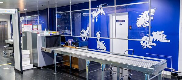 Вильнюсский аэропорт подготовился к приему пассажиров - Sputnik Литва