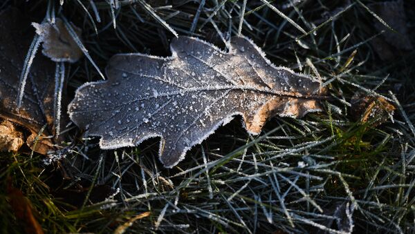 Утренние заморозки, архивное фото - Sputnik Lietuva