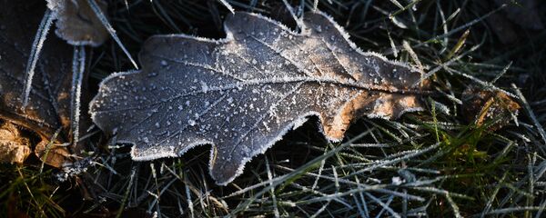 Утренние заморозки, архивное фото Утренние заморозки, архивное фото - Sputnik Lietuva