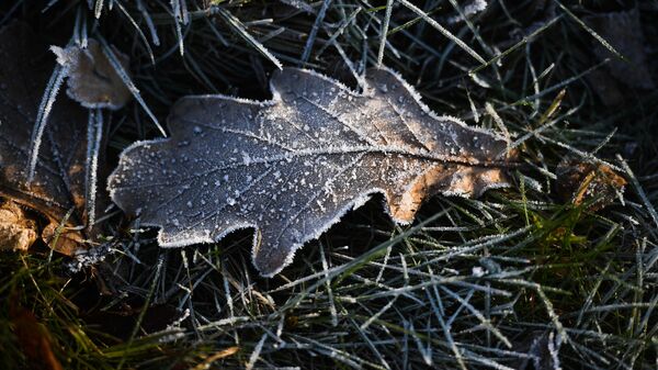 Утренние заморозки, архивное фото - Sputnik Литва