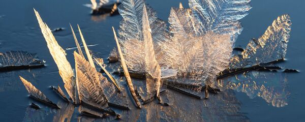 Ледяные цветы на поверхности озера, архивное фото - Sputnik Литва