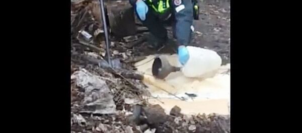 Kauno rajono miškuose aptikta tona naminės degtinės ruošinio Kauno rajono miškuose aptikta tona naminės degtinės ruošinio - Sputnik Lietuva