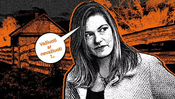 Važiuoti ar nevažiuoti - Sputnik Lietuva