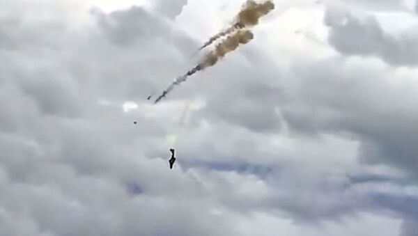 Крушение самолета канадских ВВС сняли на видео - Sputnik Литва