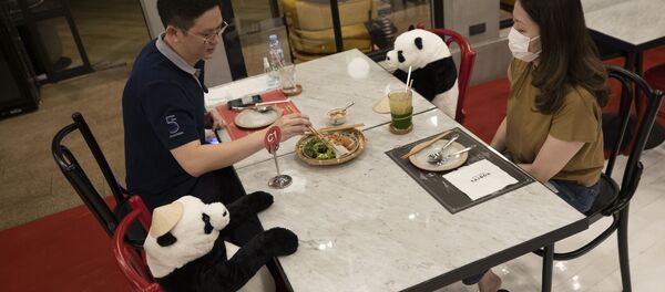 Посетители ресторана во время соблюдения дистанции в Бангкоке  - Sputnik Lietuva