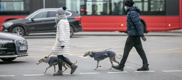 Прохожие с собаками в Вильнюсе - Sputnik Литва