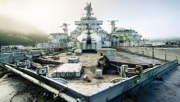 Кладбище военных кораблей, найденное фотографом Бобом Тиссеном - Sputnik Lietuva