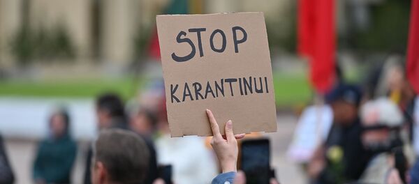 Митинг в защиту конституционных прав граждан страны в Вильнюсе Митинг в защиту конституционных прав граждан страны в Вильнюсе - Sputnik Lietuva