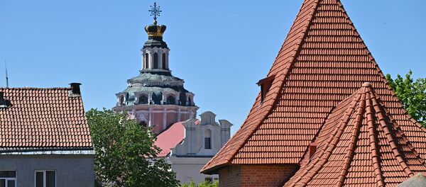 Вид Вильнюса - Sputnik Литва