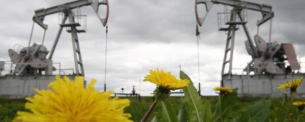 Нефтяная качалка Нефтяная качалка - Sputnik Lietuva