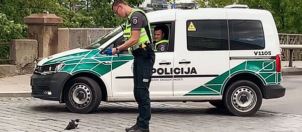 Литовские полицейские спасают ворону - Sputnik Lietuva