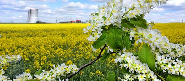 Белорусская АЭС, архивное фото - Sputnik Литва