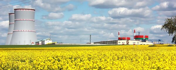 Белорусская АЭС, архивное фото Белорусская АЭС, архивное фото - Sputnik Литва