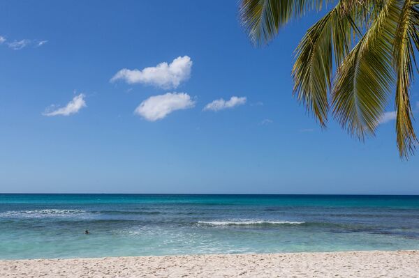 Liepos 3 dienos horoskopas visiems zodiako ženklams Liepos 3 dienos horoskopas visiems zodiako ženklams - Sputnik Lietuva