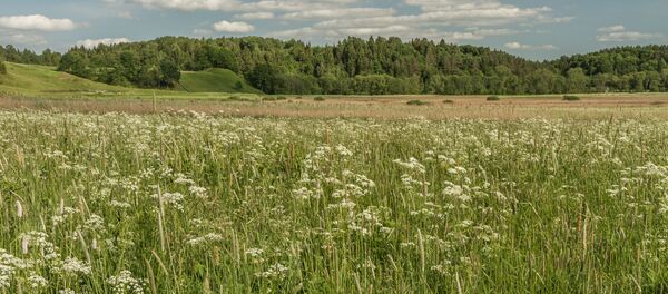 Lankas Lankas - Sputnik Lietuva