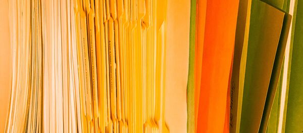 Папки с документами - Sputnik Литва