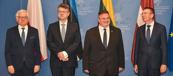 Глава МИД Литвы Линас Линкявичюс встречается со своими балтийскими коллегами - Sputnik Lietuva