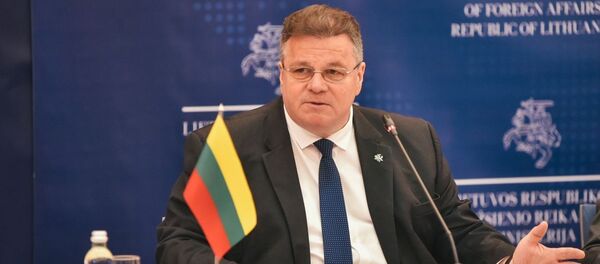 Глава МИД Литвы Линас Линкявичюс, архивное фото - Sputnik Литва