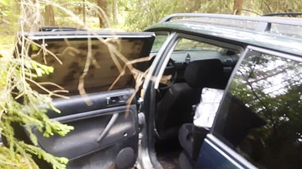 В Литве поймали контрабандиста, пытавшегося сбежать в лес - Sputnik Литва