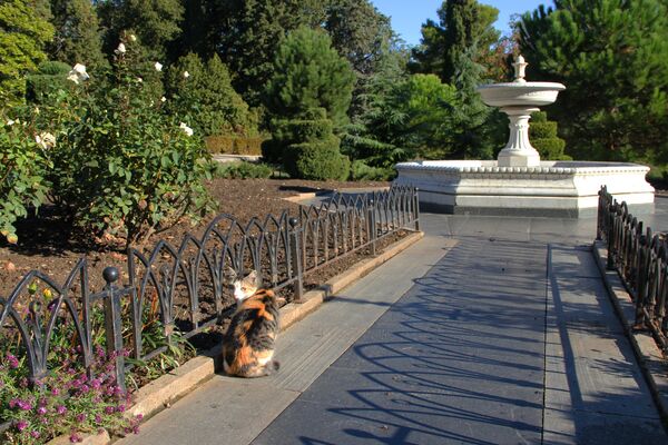 Кошка сидит напротив фонтана в саду Ливадийского дворца - Sputnik Lietuva