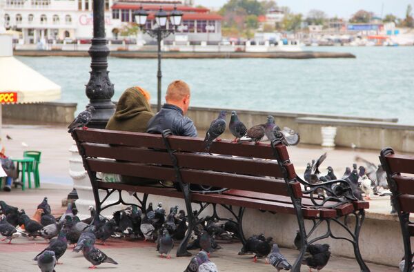 Люди подкармливают голубей на берегу Севастополя - Sputnik Lietuva