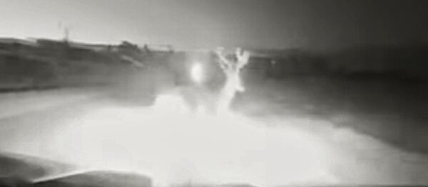 Nufilmuotas Lietuvos policijos automobilio susidūrimas su elniu - Sputnik Lietuva