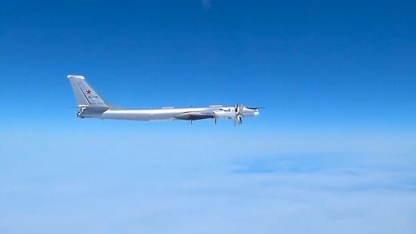 Русские “медведи” напугали США: Ту-95МС совершили полет над Тихим океаном  - Sputnik Литва