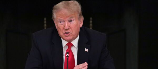 Президент США Дональд Трамп Президент США Дональд Трамп - Sputnik Lietuva