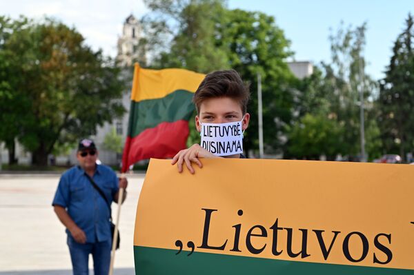 Шествие в поддержку законно избранного Президента США Дональда Трампа - Sputnik Lietuva