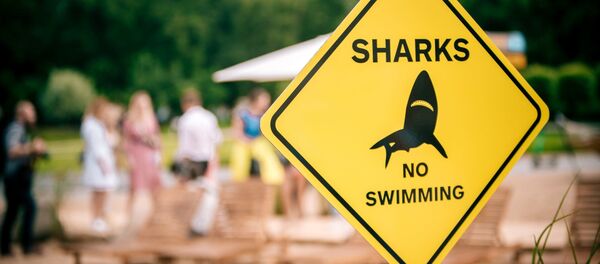 Искусственный пляж на площади Лукишкес в Вильнюсе - Sputnik Литва